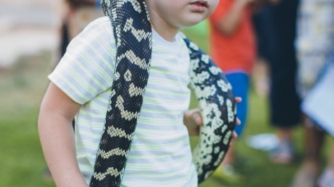 27 (בינוני).jpg