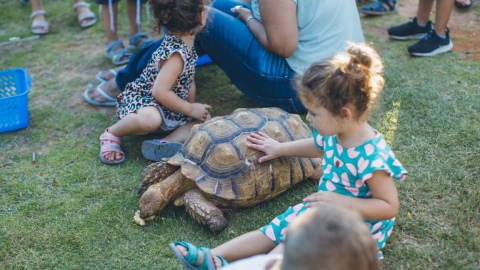 26 (בינוני).jpg